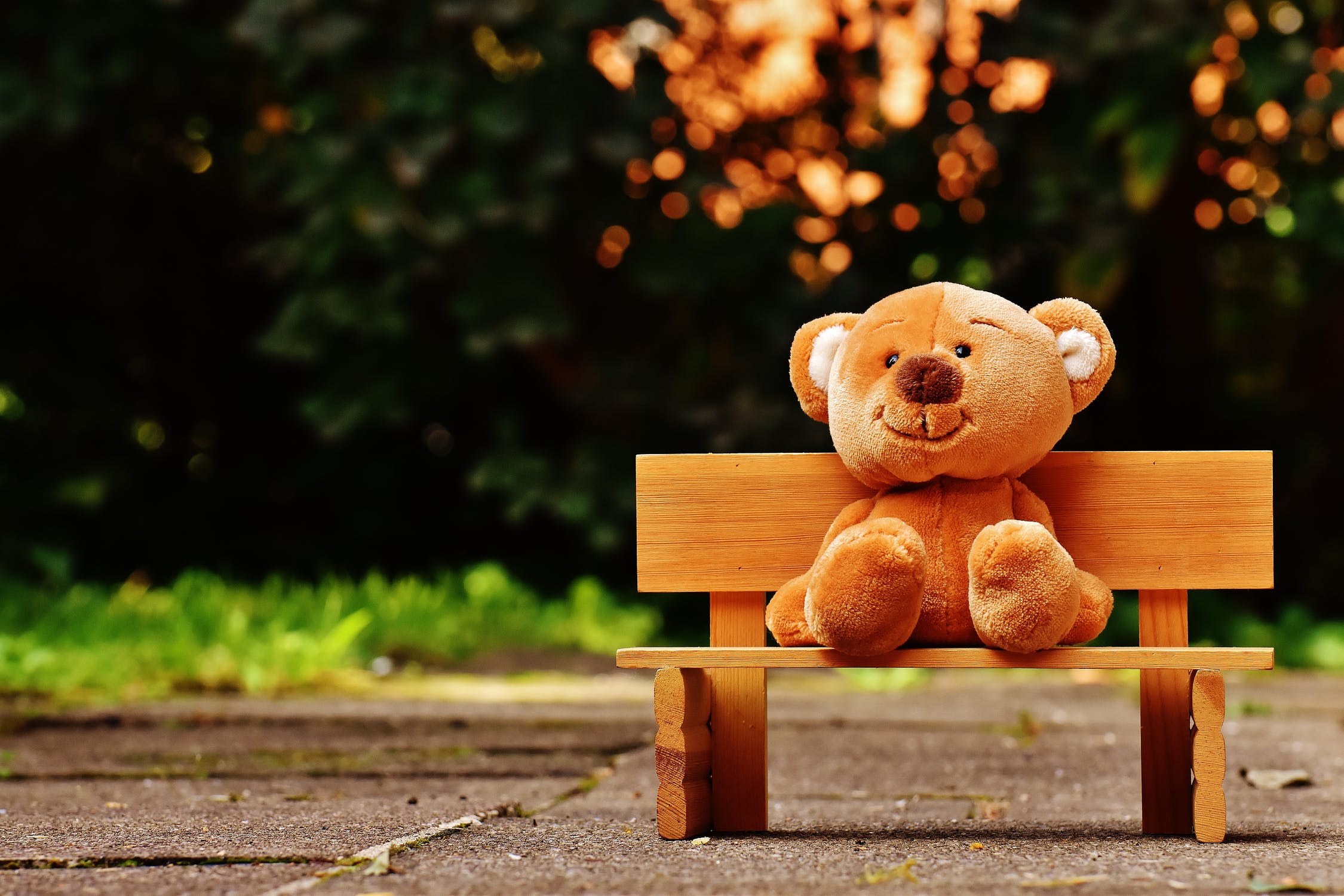 Wooden bench with a teddy bear sat on it