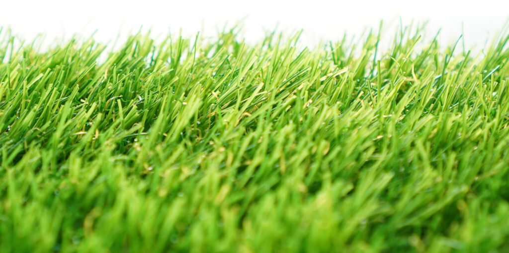 Evergreen Artificial Grass Close-up On A White Background Save Download Preview Evergreen artificial grass close-up on a white background